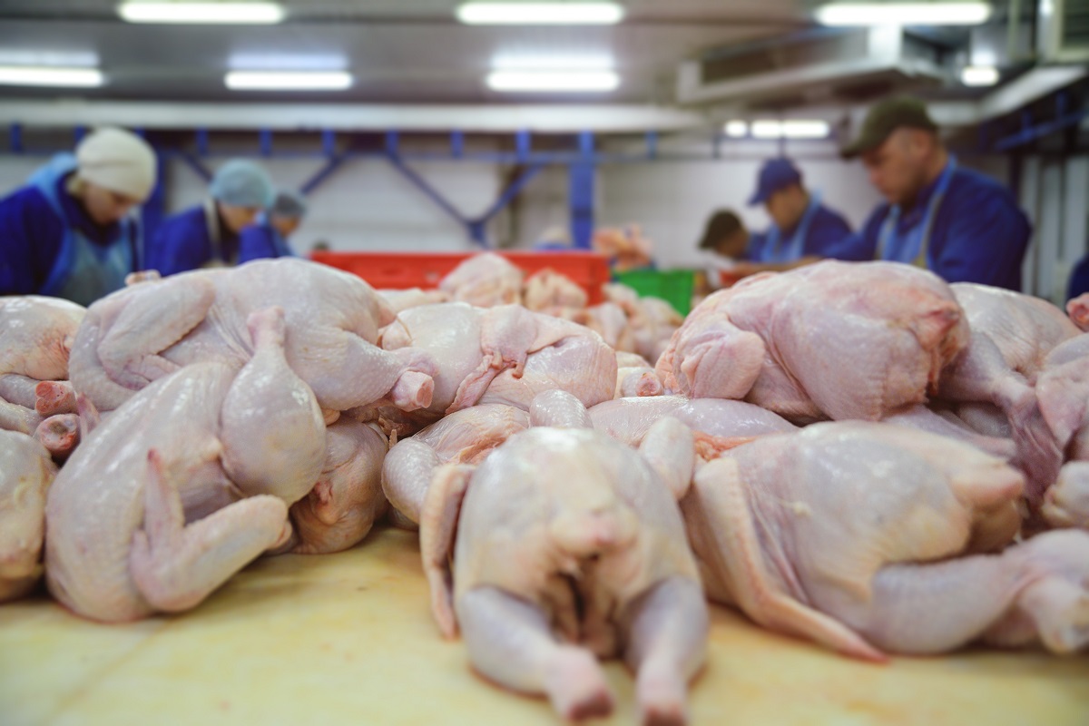 आपकी थाली तक पहुंचा कोरोना, चिकन खाने वाले हो जाएं सावधान, चीन से आई बुरी खबर